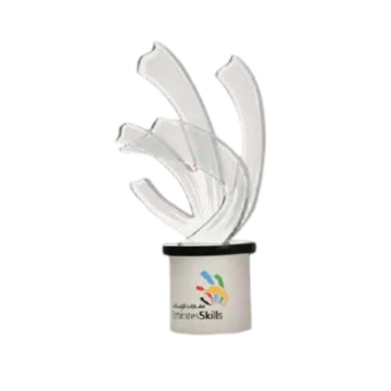 Customized Awards-10