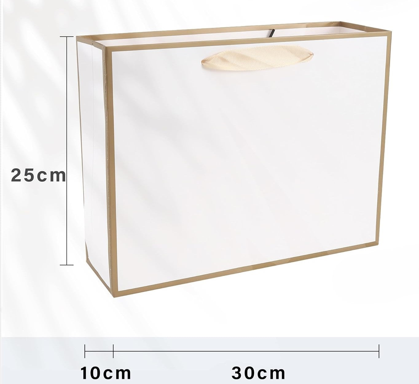 White with Gold Border Gift Paper Bag