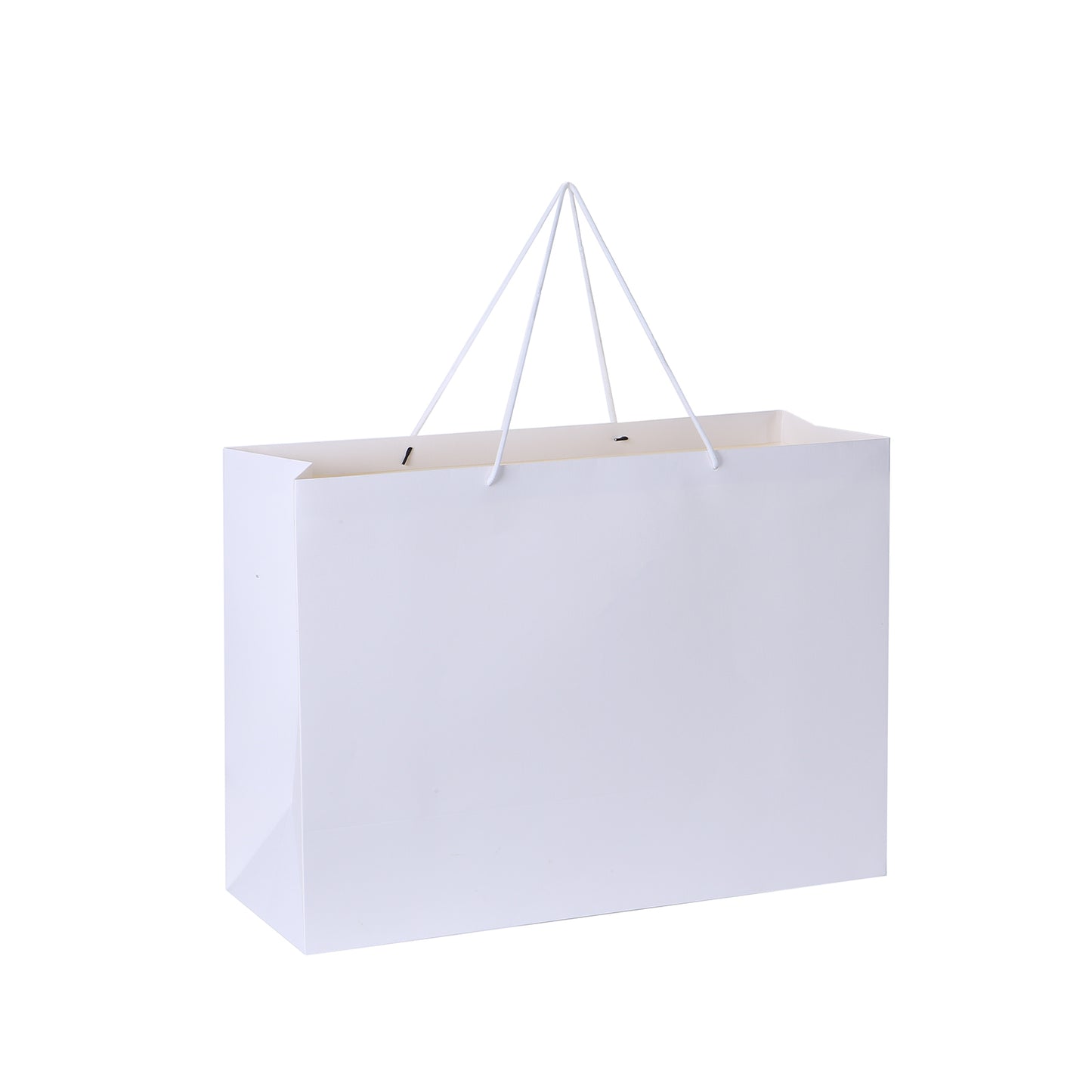 White Color Texture Gift Bags