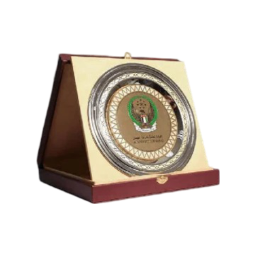 Customized Awards-23