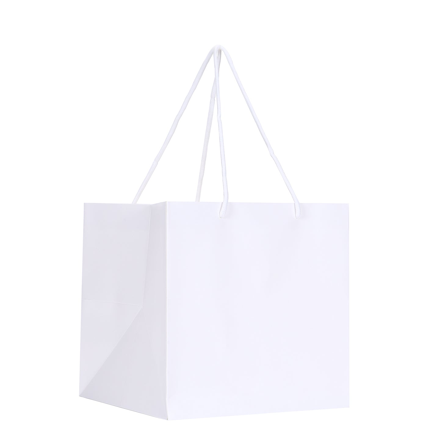 White Color Texture Gift Bags