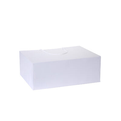White Color Texture Gift Bags