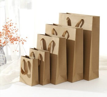 Vertical Shape Kraft Paper Bags