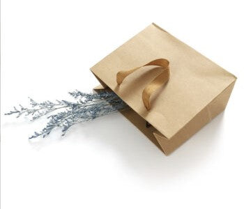 Horizontal Size Kraft Paper Bags